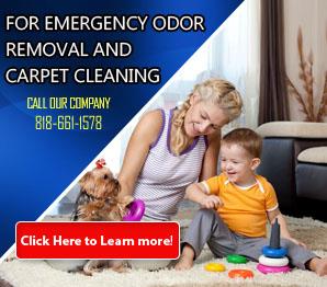 Water Damage - Carpet Cleaning Westlake Village, CA